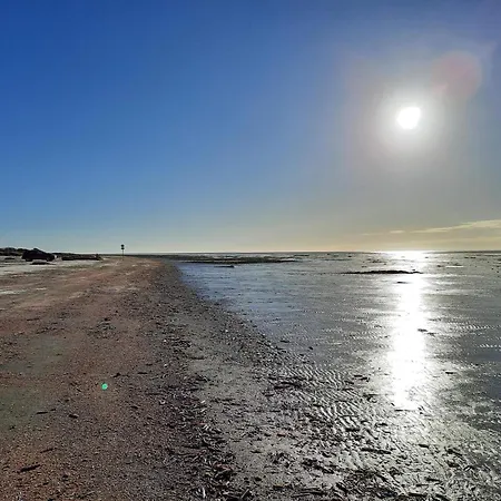 4 Person In Fanø